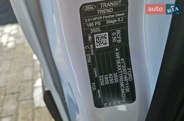 Грузовой фургон Ford Transit 2021 в Радомышле