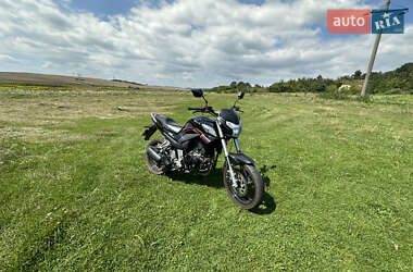 Мотоцикл Туризм Forte FT 250 CKA 2021 в 