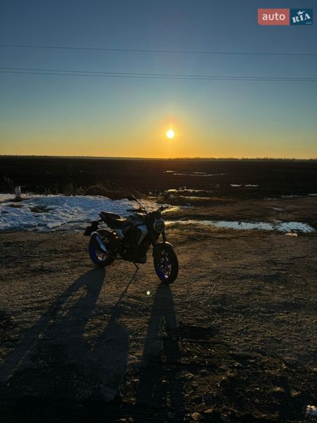 Мотоцикл Без обтекателей (Naked bike) Forte FT 250 CKP 2024 в Белой Церкви