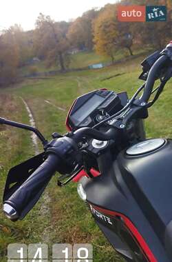Мотоцикл Кросс Forte FT 300GY-C5D 2020 в 
