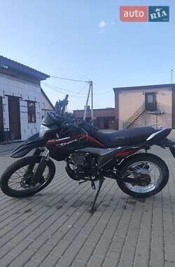 Мотоцикл Многоцелевой (All-round) Forte FT 300GY-C5D 2020 в 