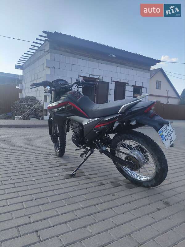 Мотоцикл Многоцелевой (All-round) Forte FT 300GY-C5D 2020 в Гоще