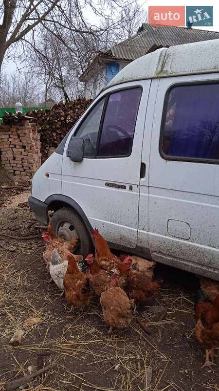 Мікроавтобус ГАЗ 3221 Газель 2002 в Погребище