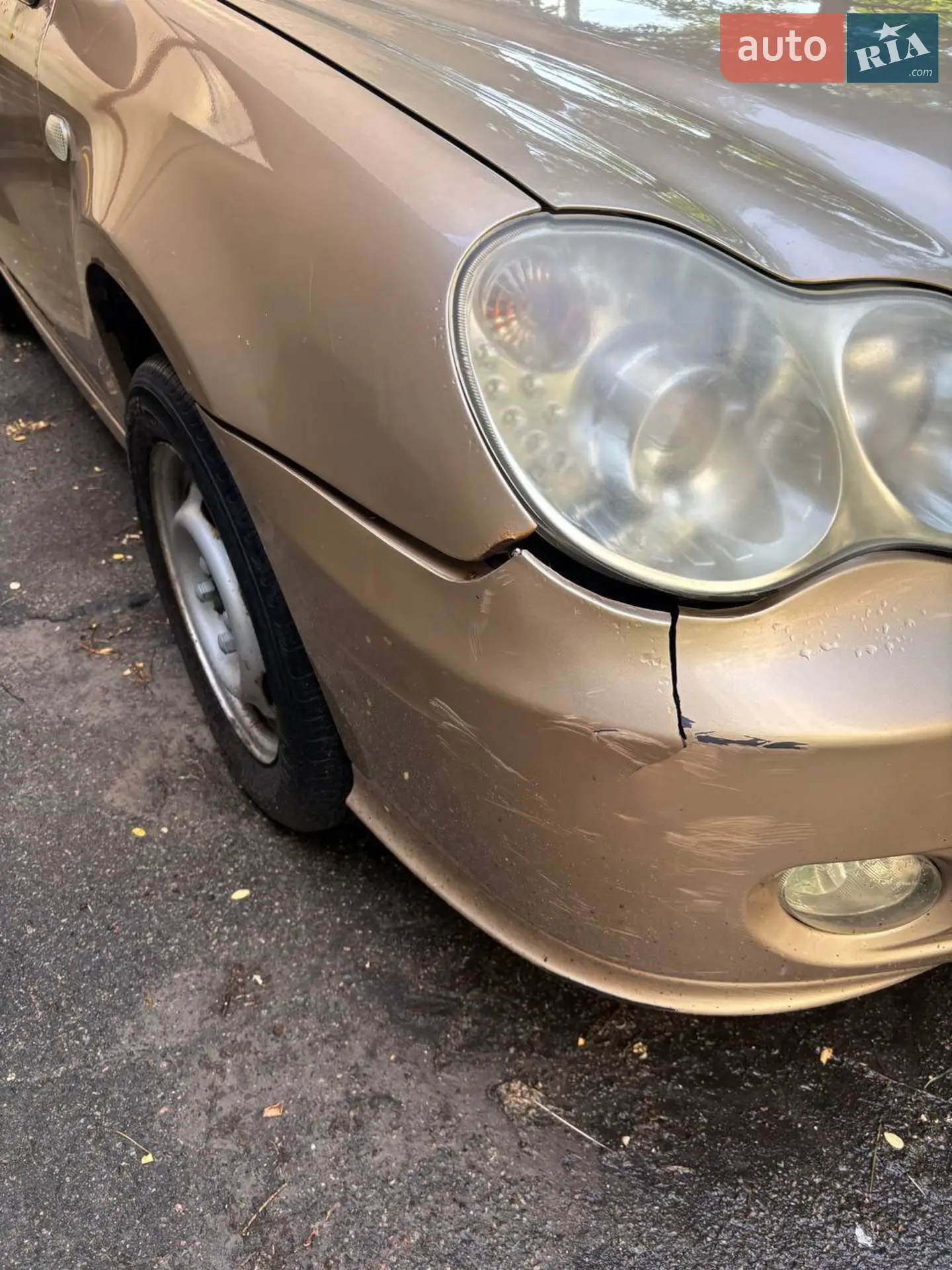 2012 Geely CK (Otaka) - мініатюра 3