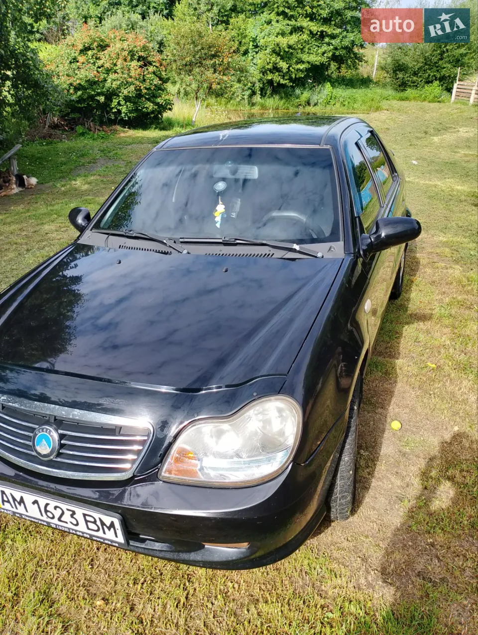 2013 Geely CK (Otaka) - мініатюра 11