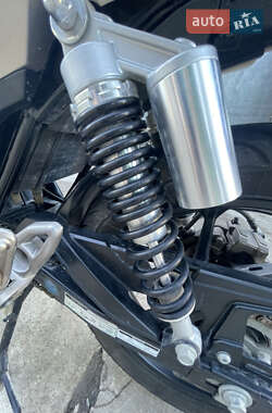 Мотоцикл Без обтекателей (Naked bike) Geon Pantera 250 2024 в 