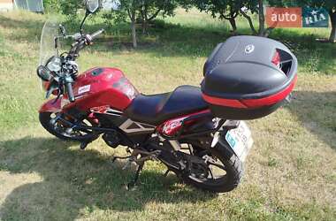 Мотоцикл Без обтекателей (Naked bike) Geon Pantera 2024 в 