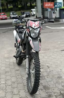Грузовые мотороллеры, мотоциклы, скутеры, мопеды Geon X-Road 250СВ 2020 в 