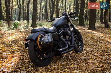 Мотоцикл Круизер Harley-Davidson 883 Iron 2009 в 