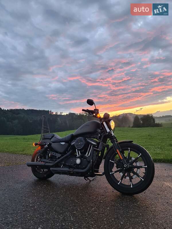 Мотоцикл Круізер Harley-Davidson 883 Iron 2018 в 