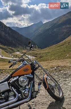Мотоцикл Кастом Harley-Davidson FXDWG 1999 в 