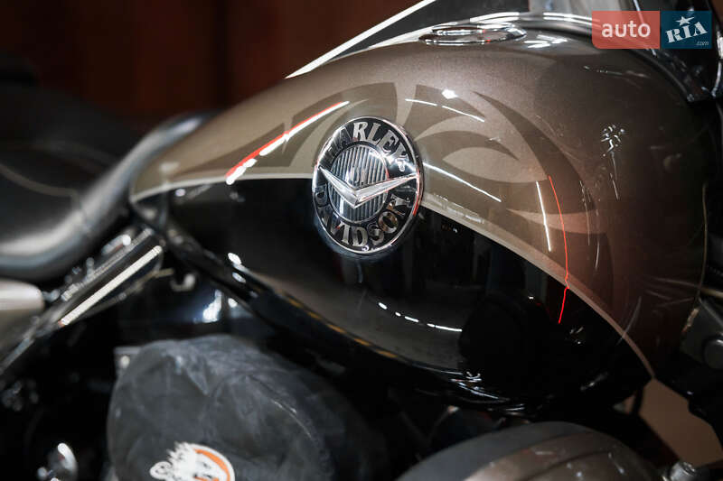 Мотоцикл Круизер Harley-Davidson Road King 2014 в Днепре фото 8 Мотоцикл Круизер Harley-Davidson Road King 2014 в Днепре