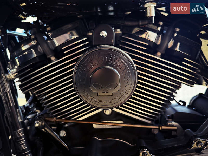Мотоцикл Круизер Harley-Davidson Street Glide 2020 в Львове фото 8 Мотоцикл Круизер Harley-Davidson Street Glide 2020 в Львове