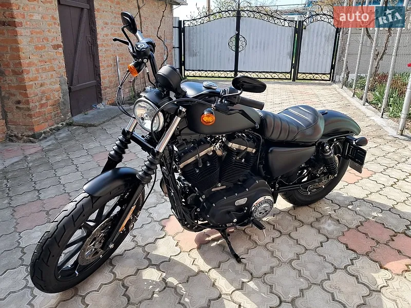 Harley-Davidson XL 883N 2011 VIN 1HD4LE214BC420727 фото оголошення 19 з 37