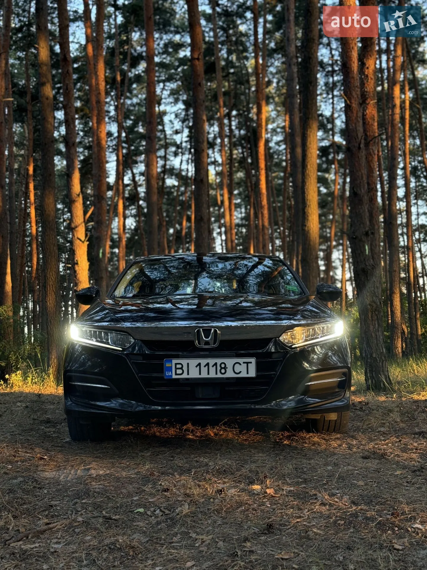 2019 Honda Accord - мініатюра 26