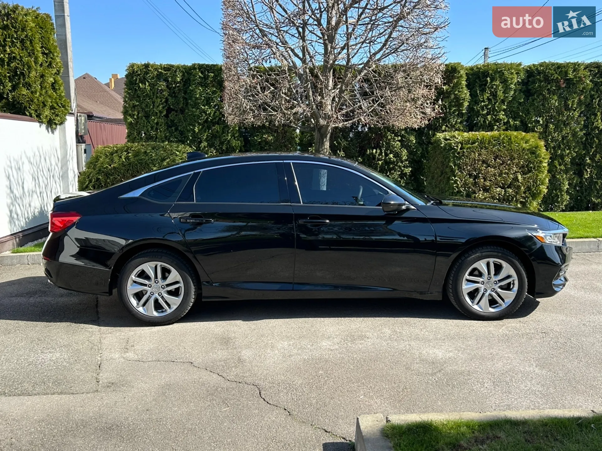 2020 Honda Accord - мініатюра 2
