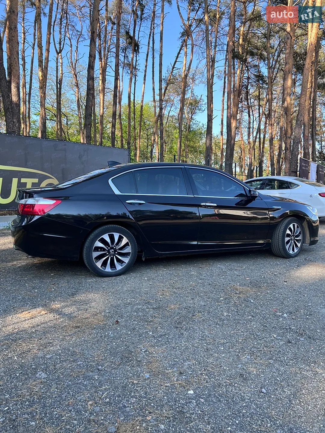 2014 Honda Accord - мініатюра 5