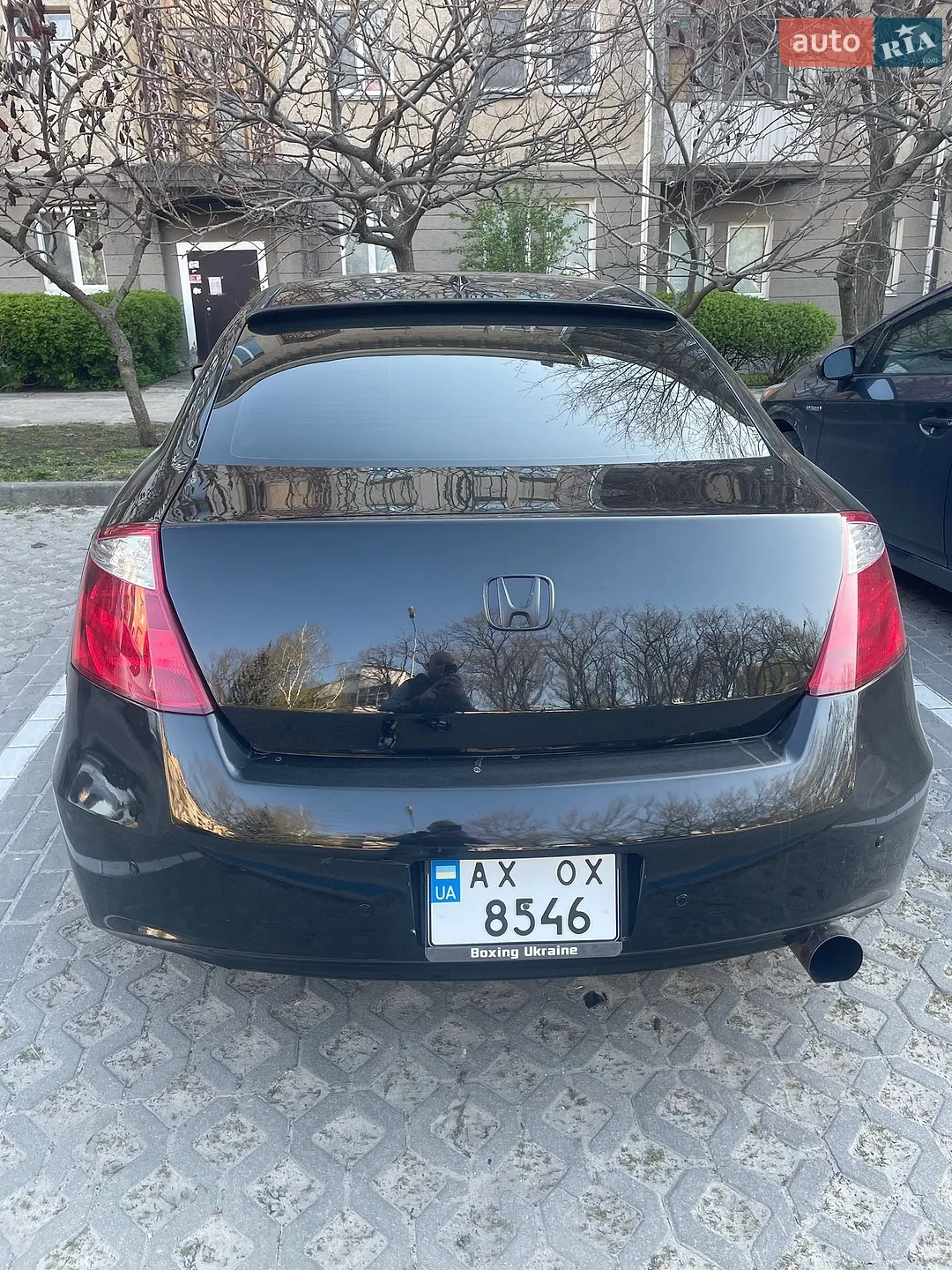 2010 Honda Accord - мініатюра 2