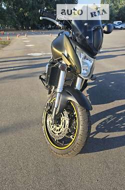 Мотоцикл Без обтекателей (Naked bike) Honda CB 600F Hornet 2010 в 