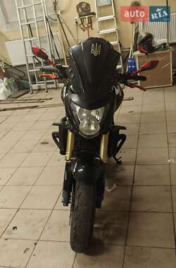 Мотоцикл Без обтекателей (Naked bike) Honda CB 600F Hornet 2008 в 