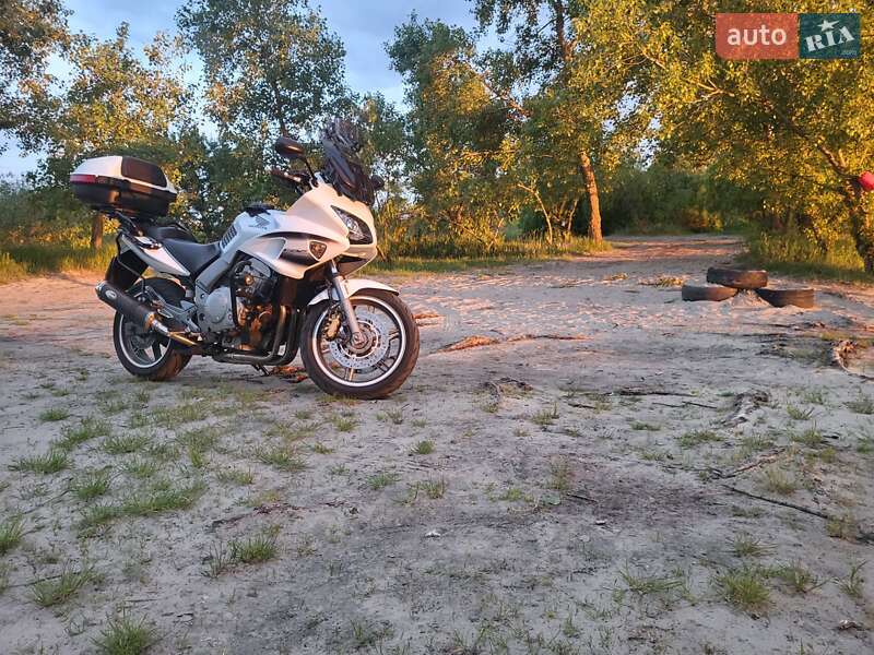 Мотоцикл Классик Honda CBF 1000 2009 в Киеве