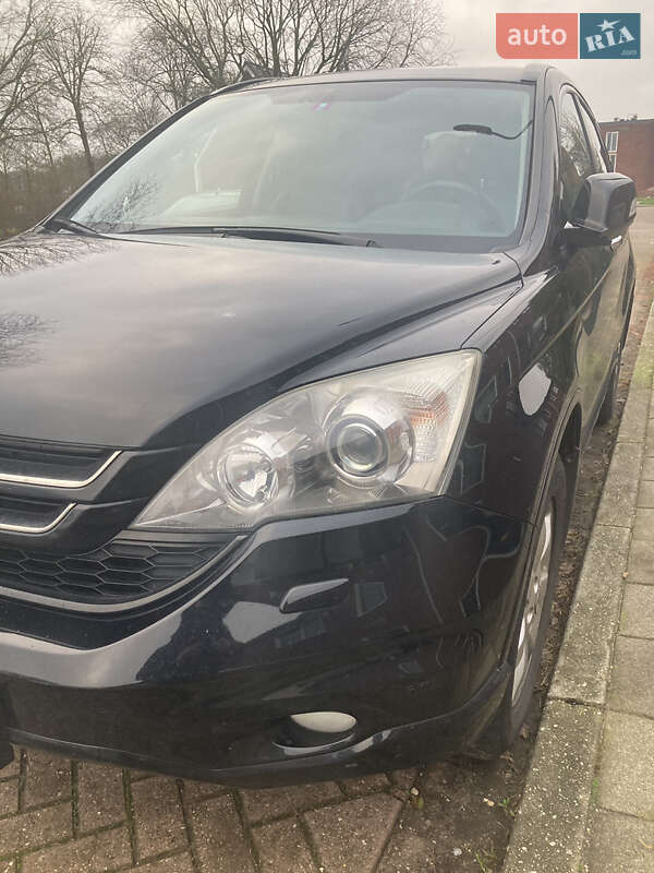 Внедорожник / Кроссовер Honda CR-V 2011 в Бердичеве