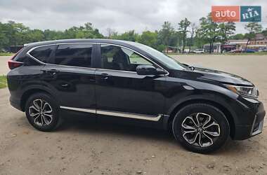 Внедорожник / Кроссовер Honda CR-V 2020 в 