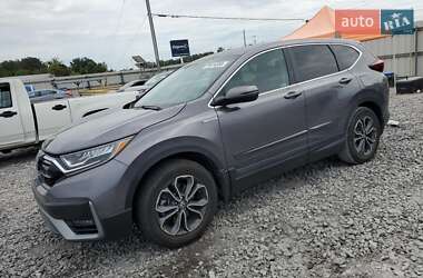Внедорожник / Кроссовер Honda CR-V 2020 в Киеве