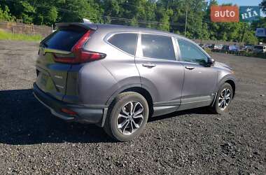 Внедорожник / Кроссовер Honda CR-V 2021 в 