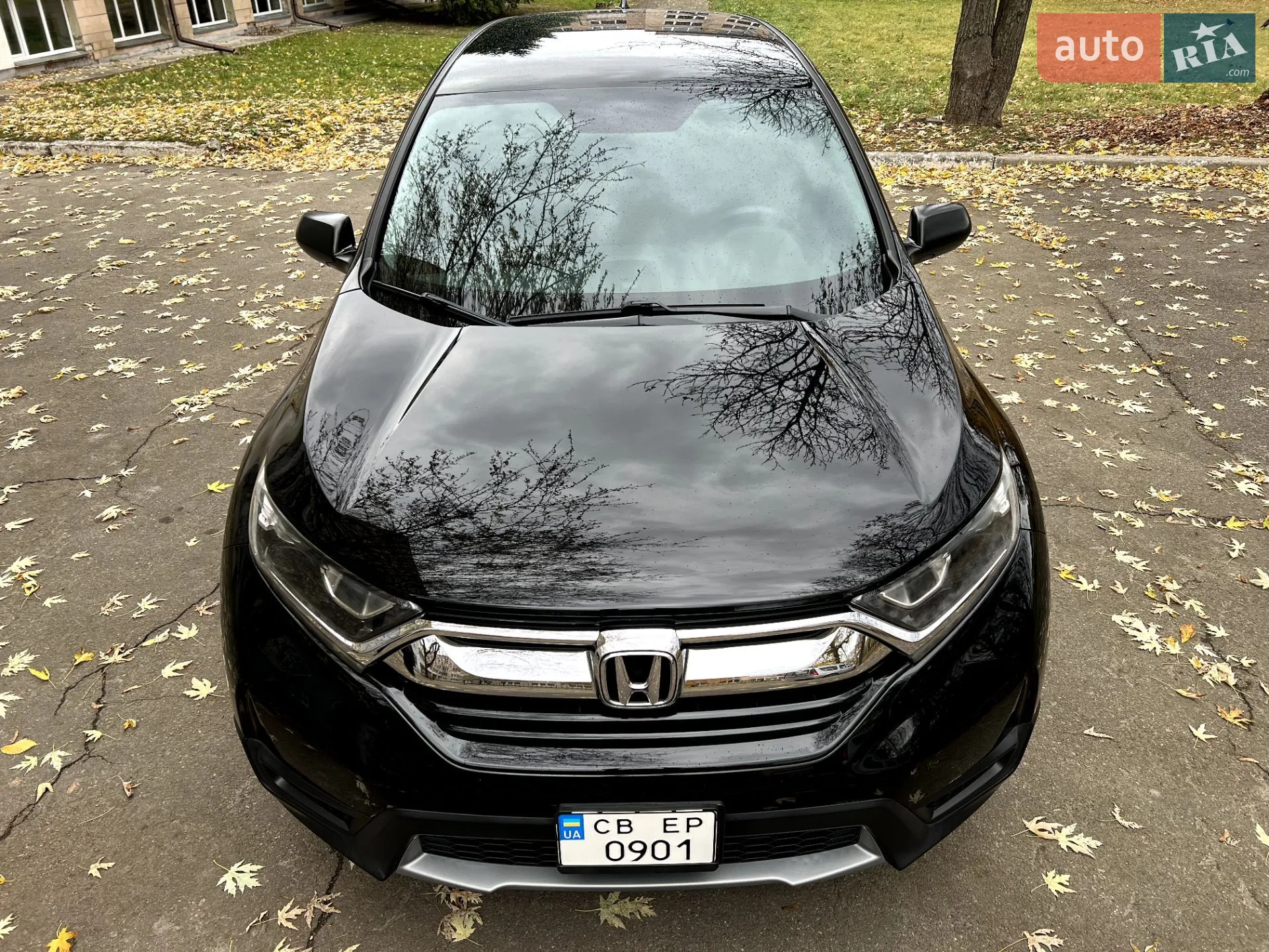 2019 Honda CR-V - мініатюра 12