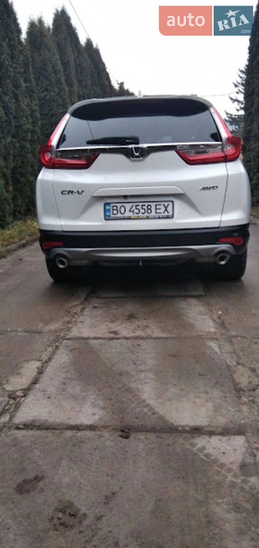 2019 Honda CR-V - мініатюра 6