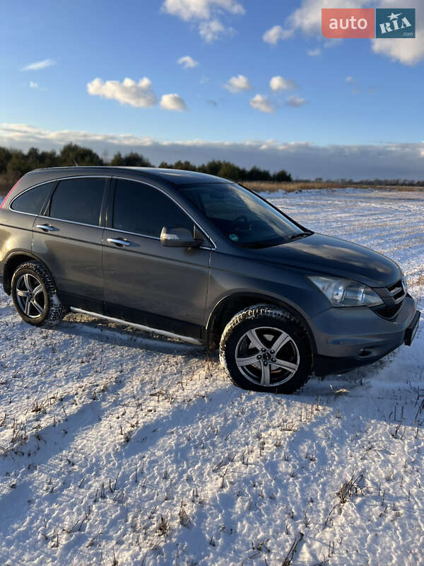 Внедорожник / Кроссовер Honda CR-V 2010 в Радивилове