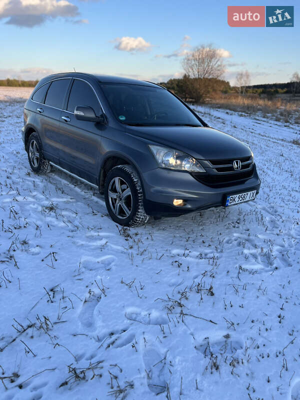 Внедорожник / Кроссовер Honda CR-V 2010 в Радивилове