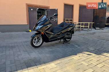 Мопеды Honda Forza 250 2009 в 
