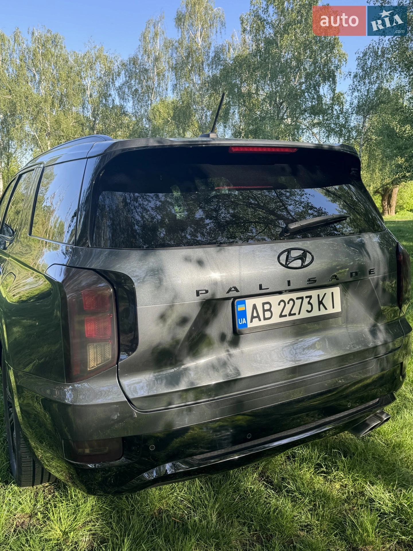 2019 Hyundai Palisade - мініатюра 7