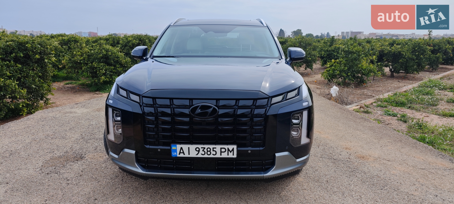 2022 Hyundai Palisade - мініатюра 3