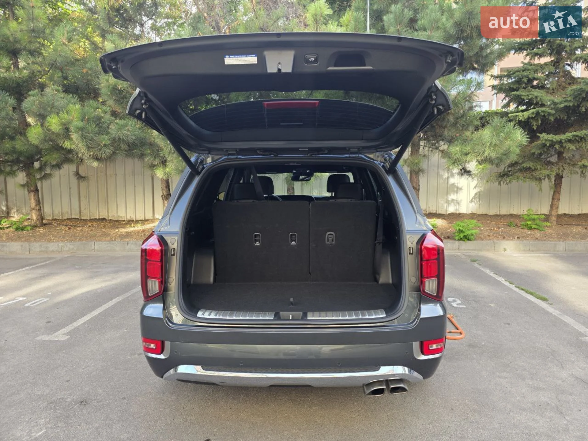 2019 Hyundai Palisade - мініатюра 10