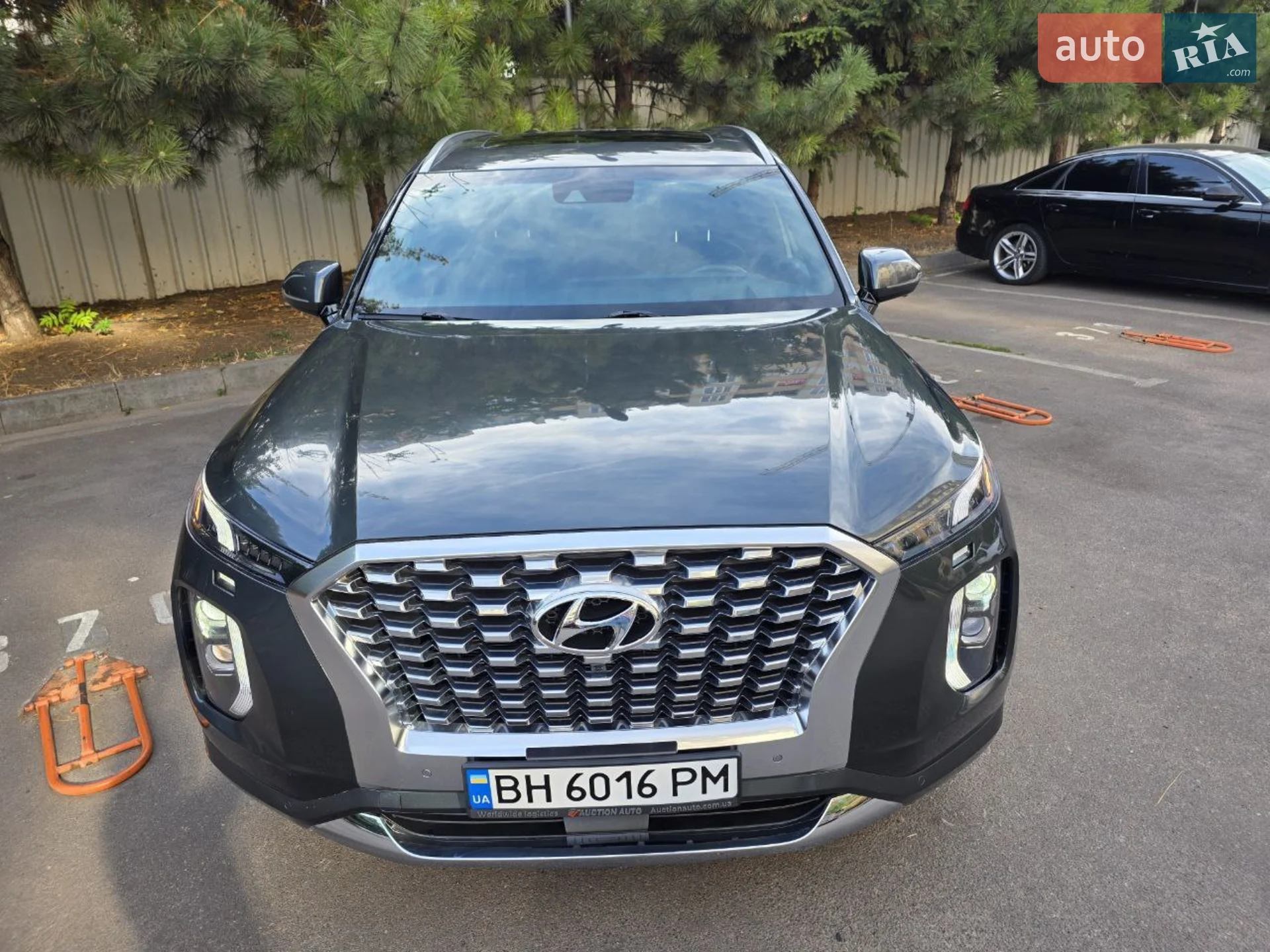 2019 Hyundai Palisade - мініатюра 5
