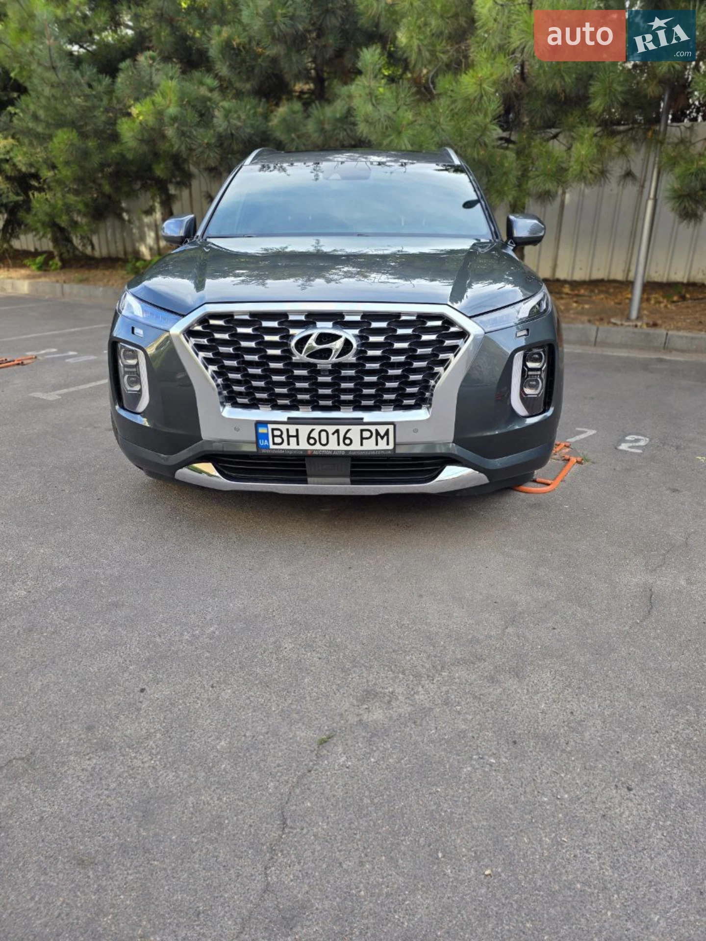 2019 Hyundai Palisade - мініатюра 18