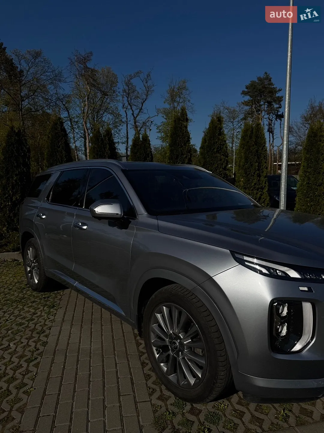 2019 Hyundai Palisade - мініатюра 2