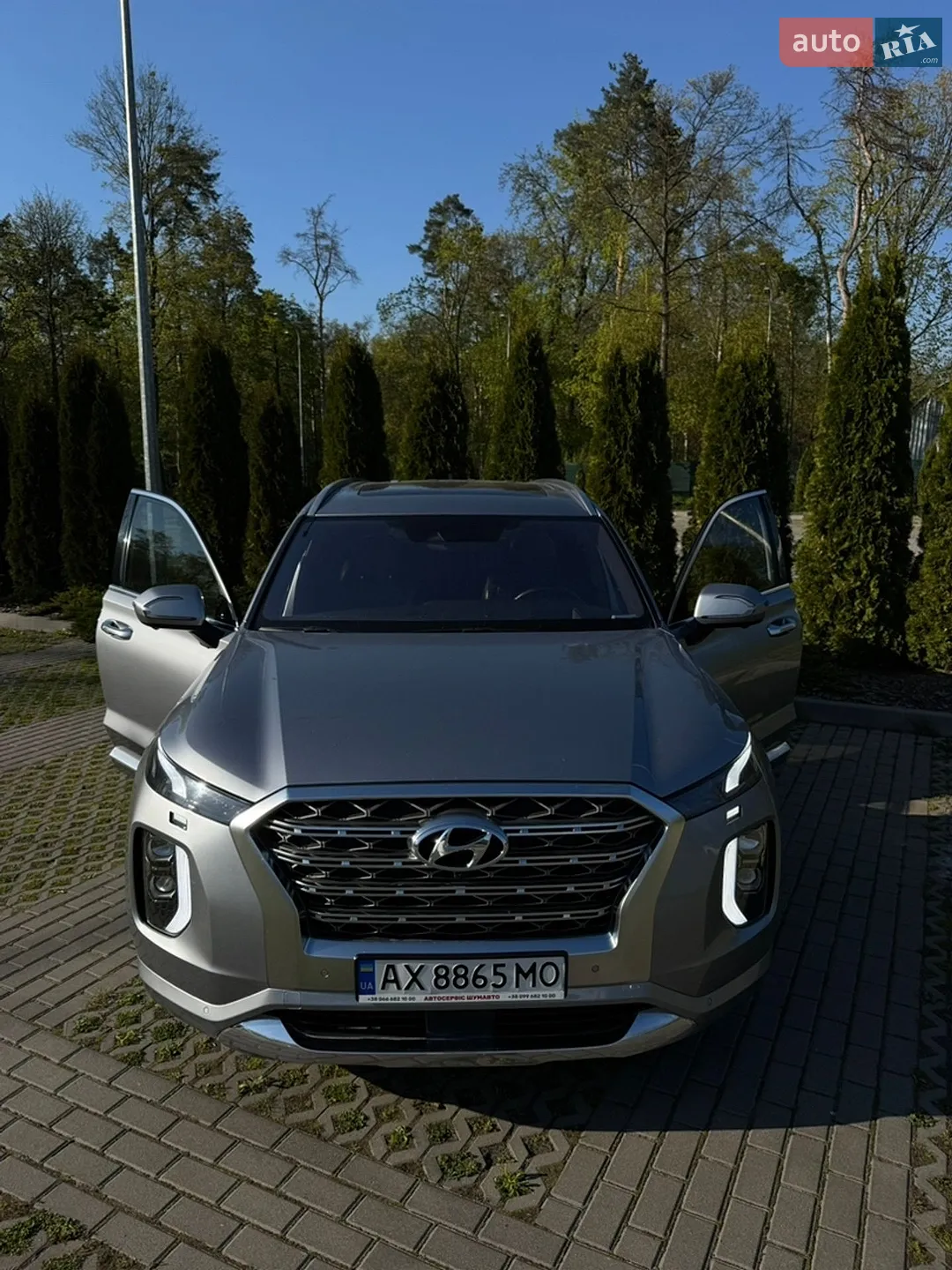 2019 Hyundai Palisade - мініатюра 6