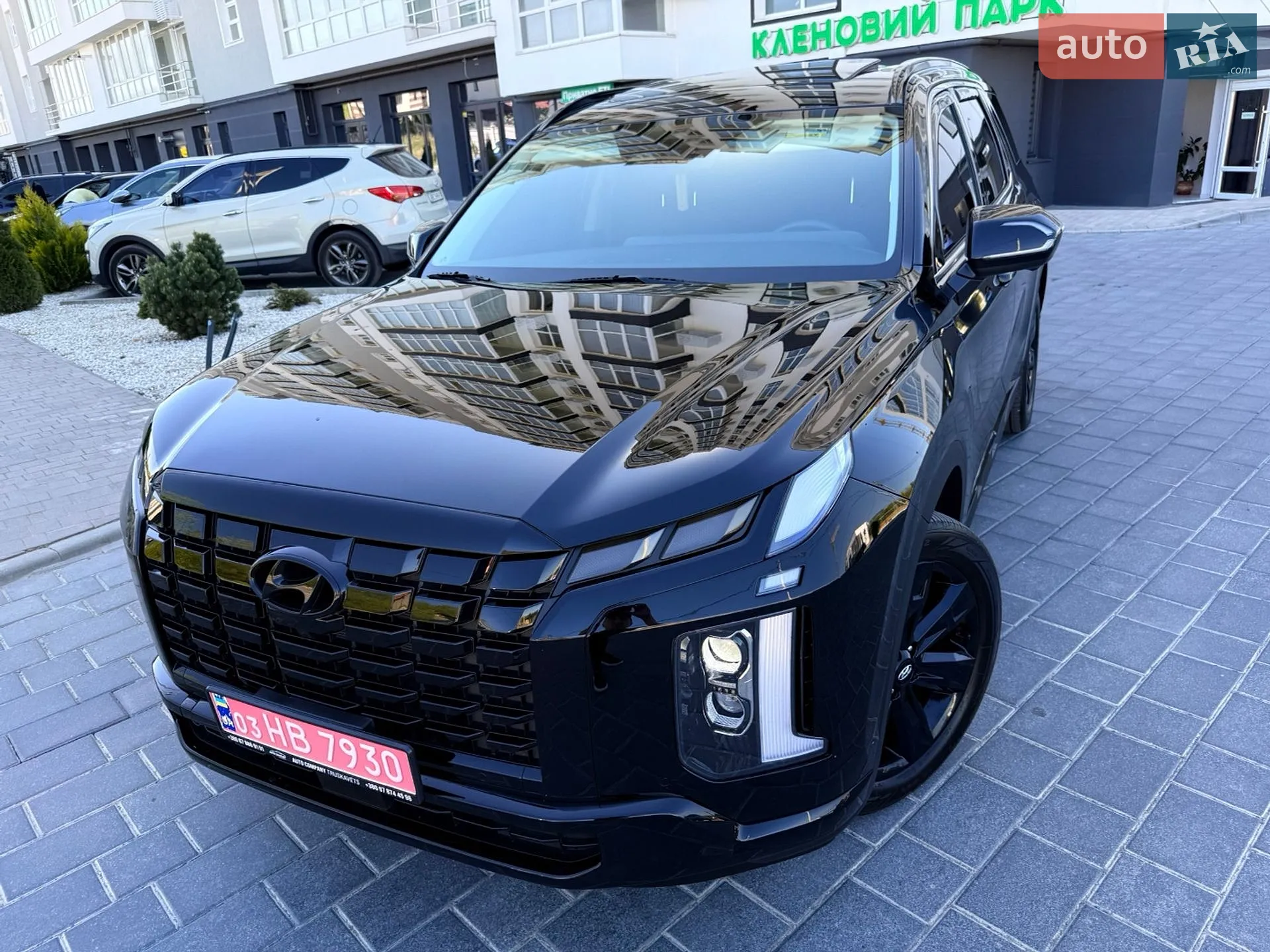 2025 Hyundai Palisade - мініатюра 12