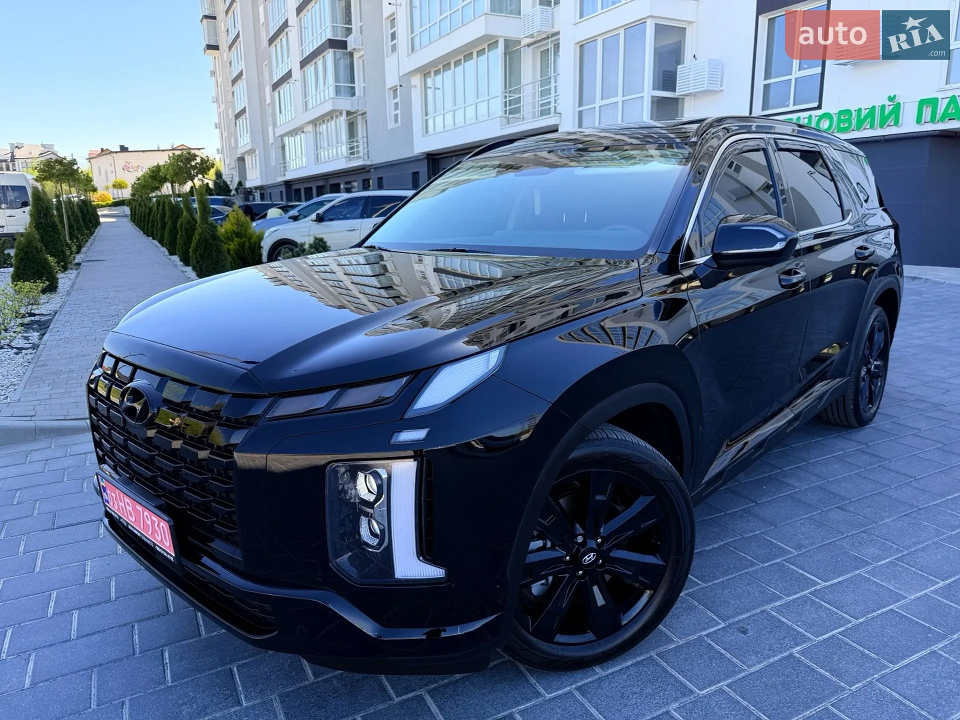 2025 Hyundai Palisade - мініатюра 81