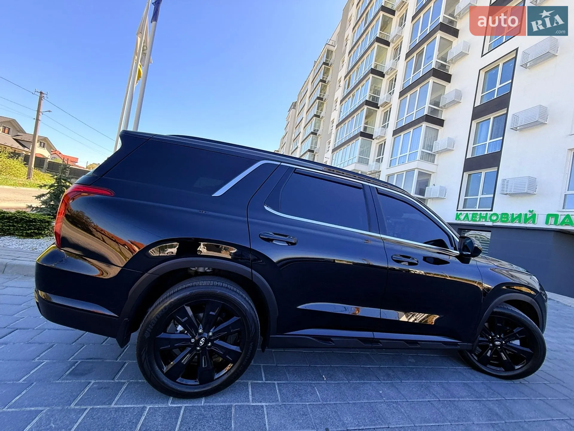 2025 Hyundai Palisade - мініатюра 86