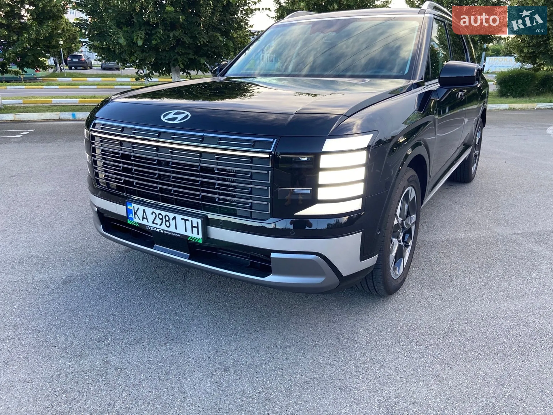 2025 Hyundai Palisade - мініатюра 13