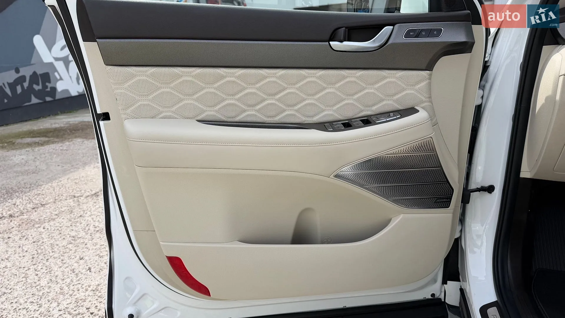 2021 Hyundai Palisade - мініатюра 22
