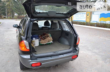 Внедорожник / Кроссовер Hyundai Santa FE 2004 в Шепетовке