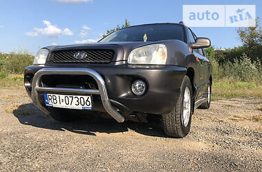 Внедорожник / Кроссовер Hyundai Santa FE 2006 в Мукачево