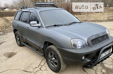 Внедорожник / Кроссовер Hyundai Santa FE 2003 в Запорожье
