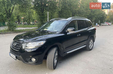 Позашляховик / Кросовер Hyundai Santa FE 2011 в Тернополі